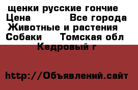 щенки русские гончие › Цена ­ 4 000 - Все города Животные и растения » Собаки   . Томская обл.,Кедровый г.